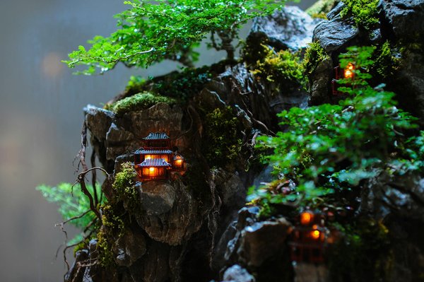 Impact Dévastateur de la Pollution de l'Eau sur la Biodiversité Aquatique